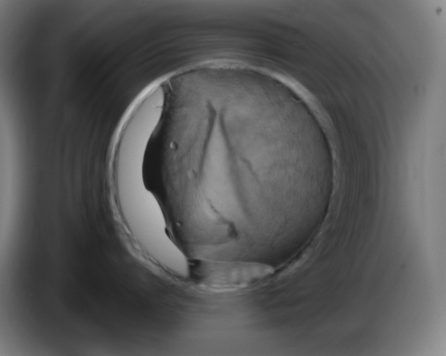 X0000086220864200704191737