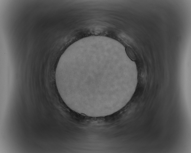 X0000086220865200704191736