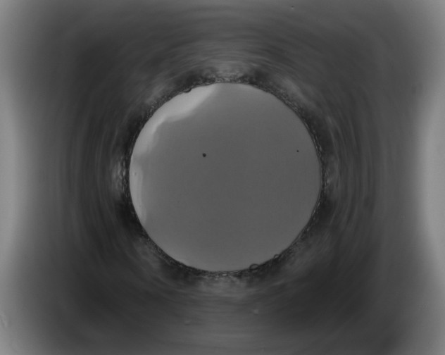 X0000086220866200704191736