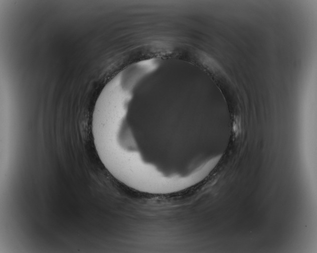 X0000086220867200704191736