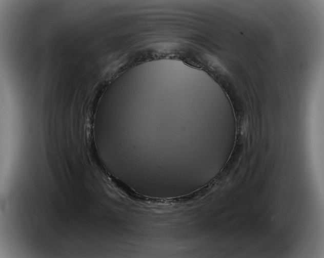 X0000086220868200704191736