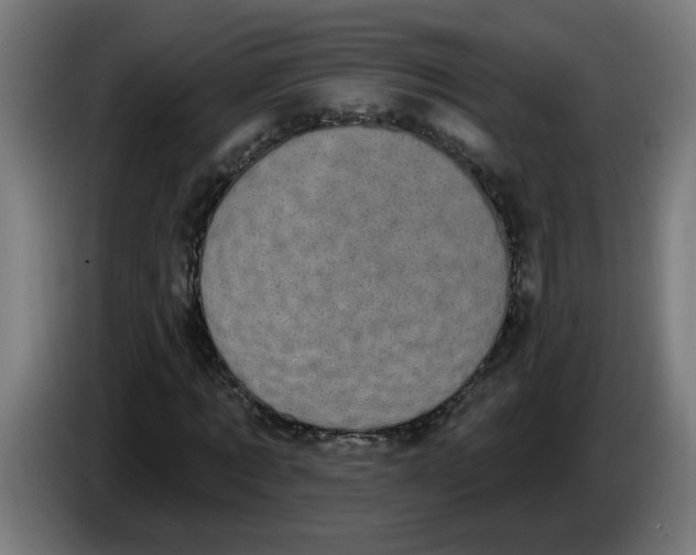 X0000086220869200704191736