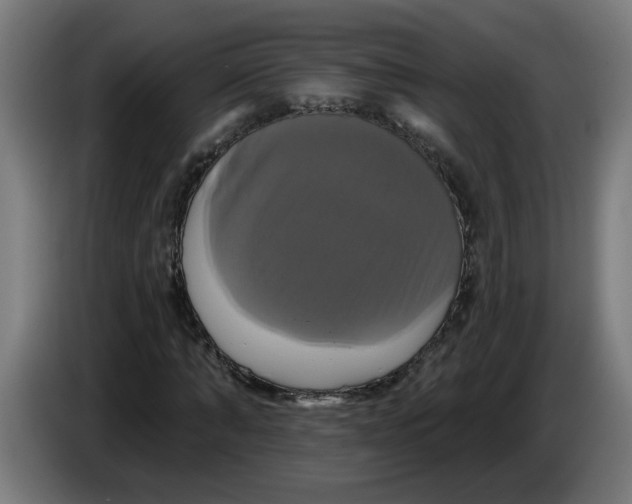 X0000086220870200704191736