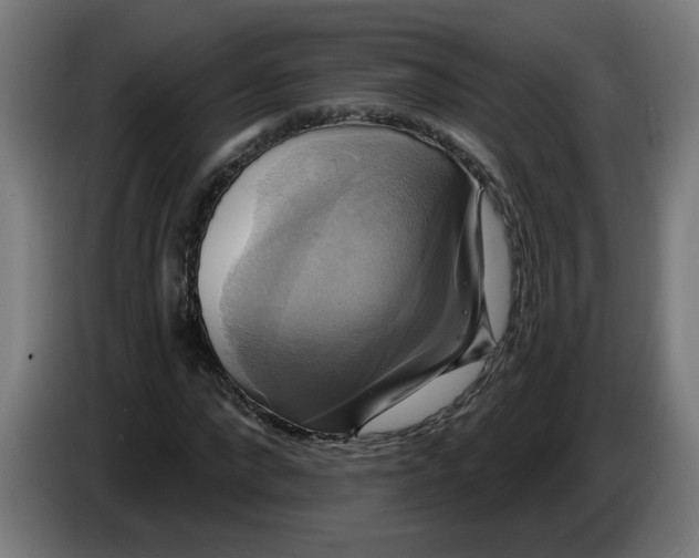 X0000086220872200704191736