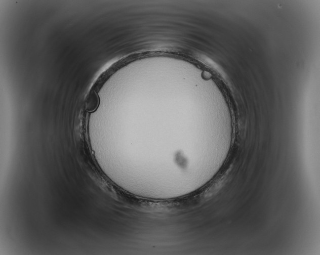 X0000086220875200704191736