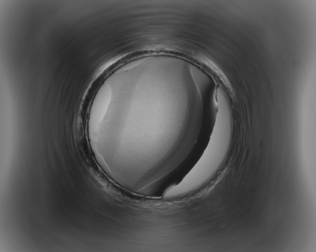 X0000086220876200704191736