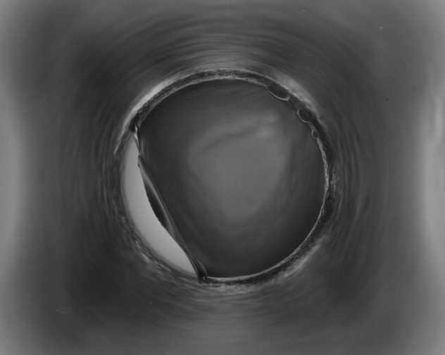 X0000086220877200704191736