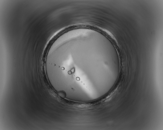 X0000086220879200704191736