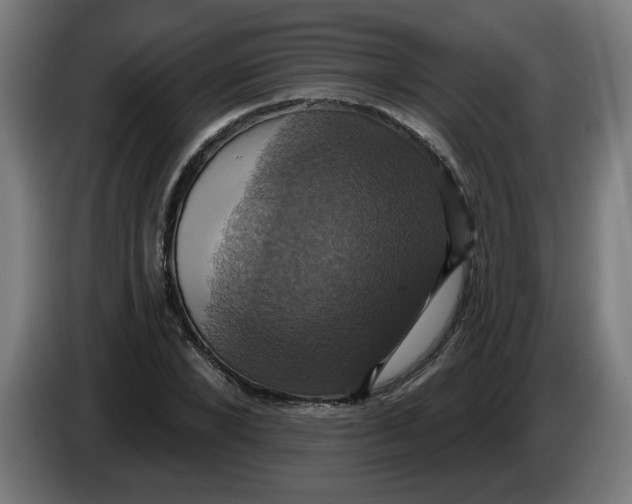 X0000086220880200704191736