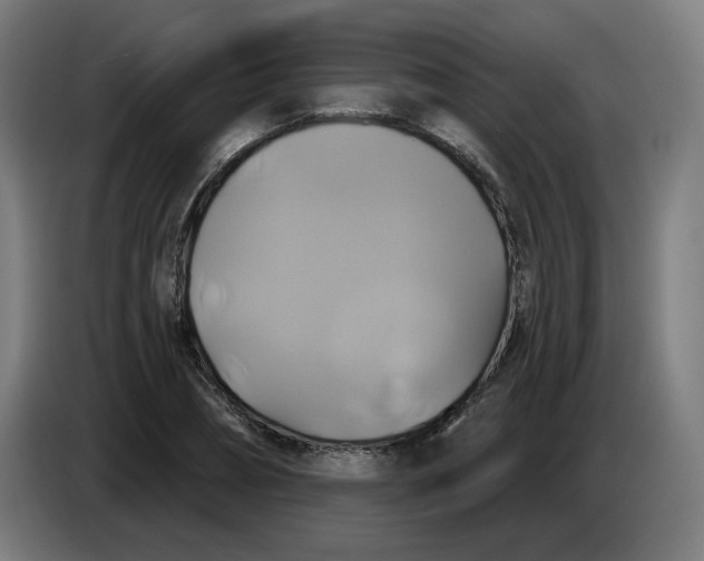 X0000086220882200704191736