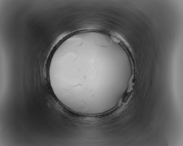 X0000086220883200704191736