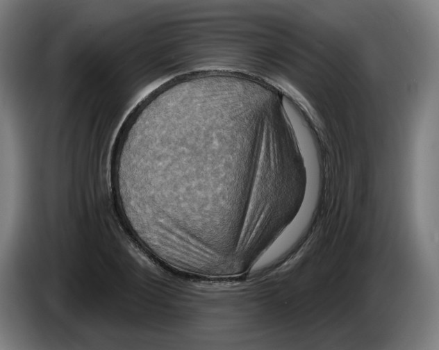 X0000086220884200704191736