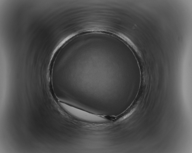 X0000086220885200704191736