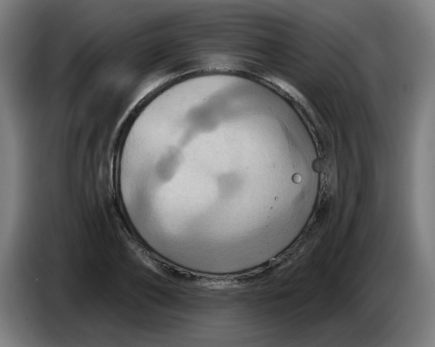 X0000086220886200704191736