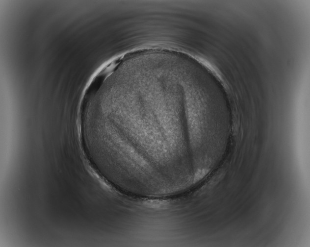 X0000086220888200704191736