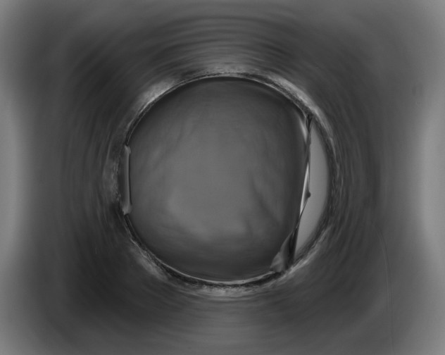 X0000086220889200704191736