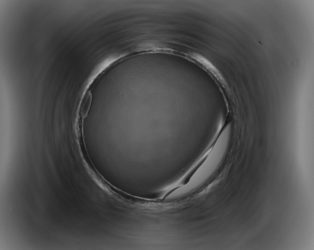 X0000086220893200704191736