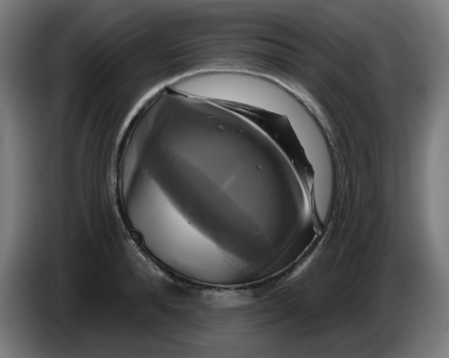 X0000086220896200704191736