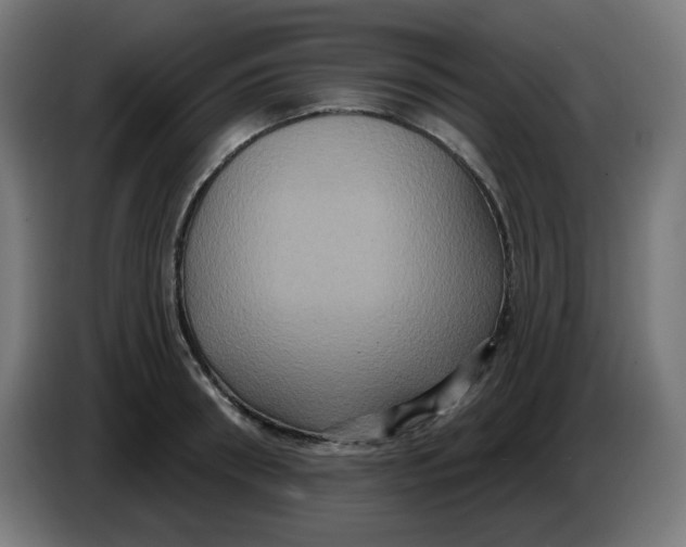 X0000086220898200704191736