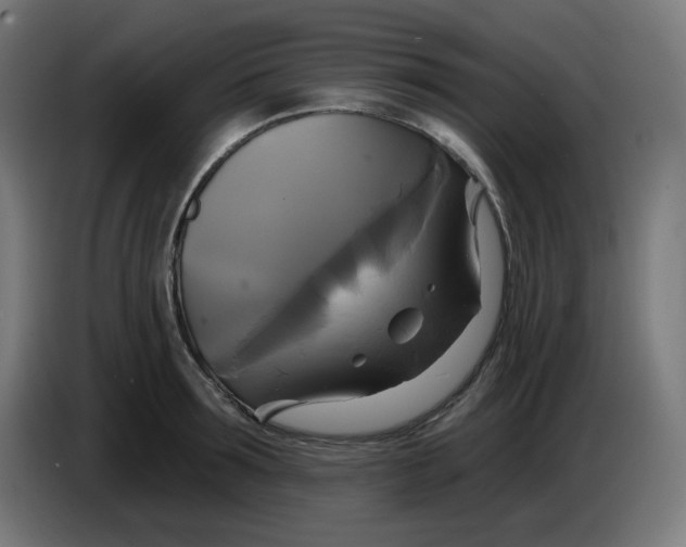 X0000086220899200704191736