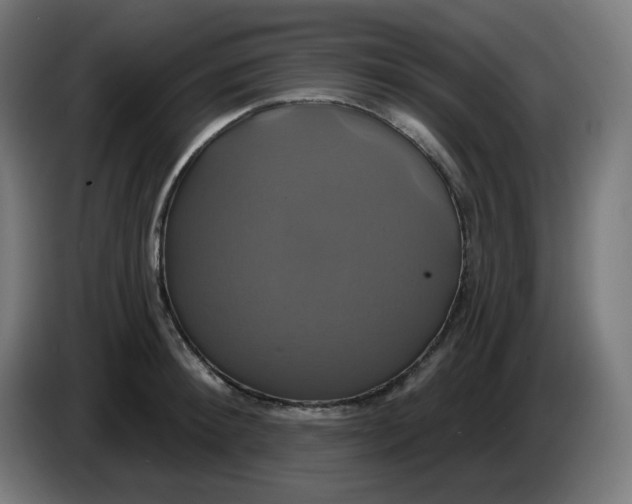 X0000086220900200704191736