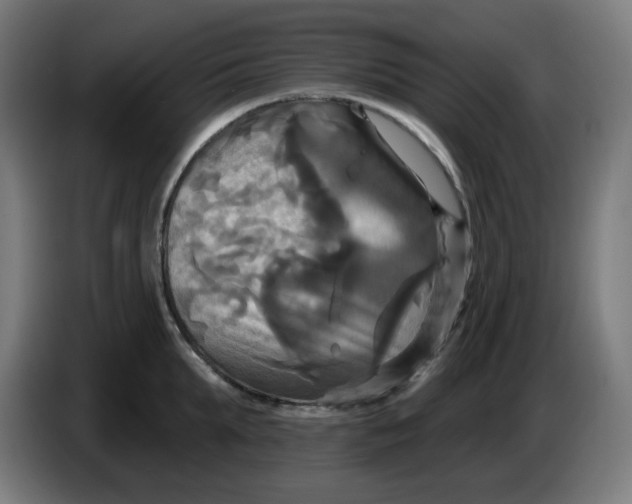 X0000086220903200704191736