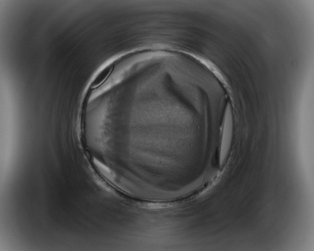 X0000086220904200704191736