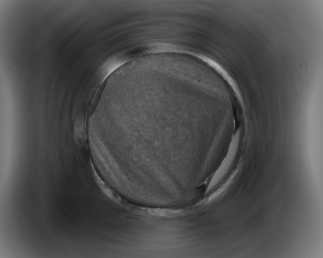 X0000086220905200704191736