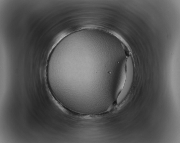 X0000086220906200704191736