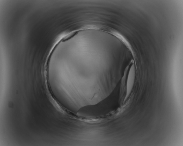 X0000086220907200704191736