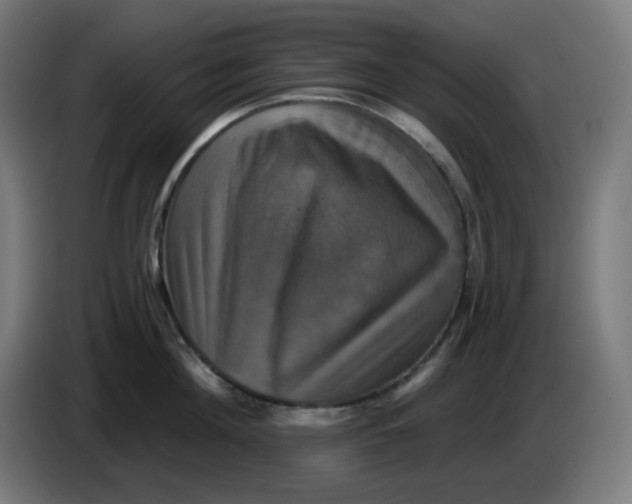 X0000086220908200704191736