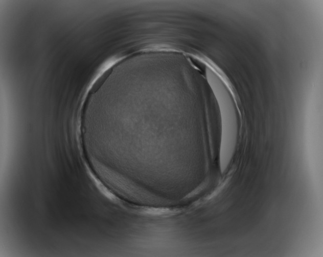 X0000086220909200704191736