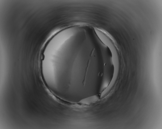 X0000086220910200704191736