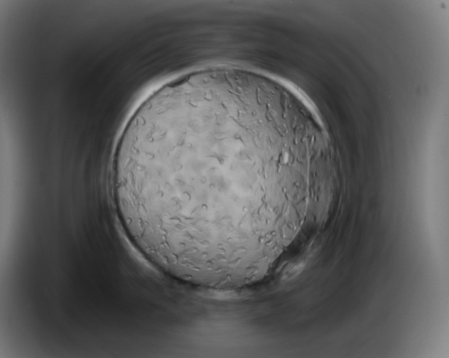 X0000086220911200704191736