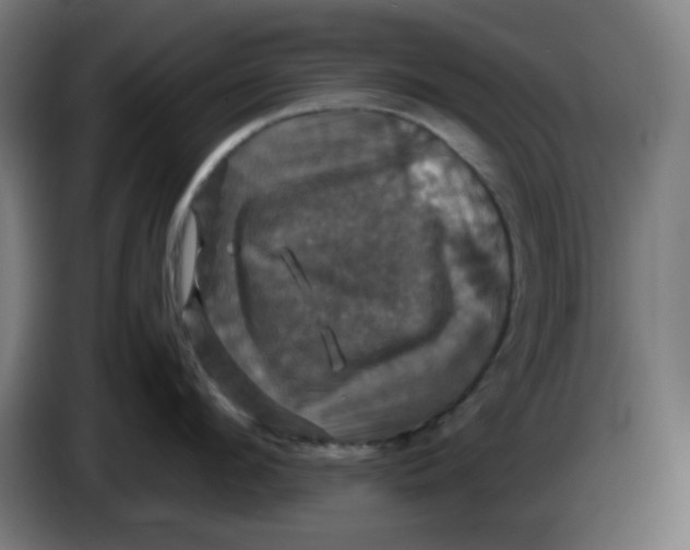 X0000086220912200704191736