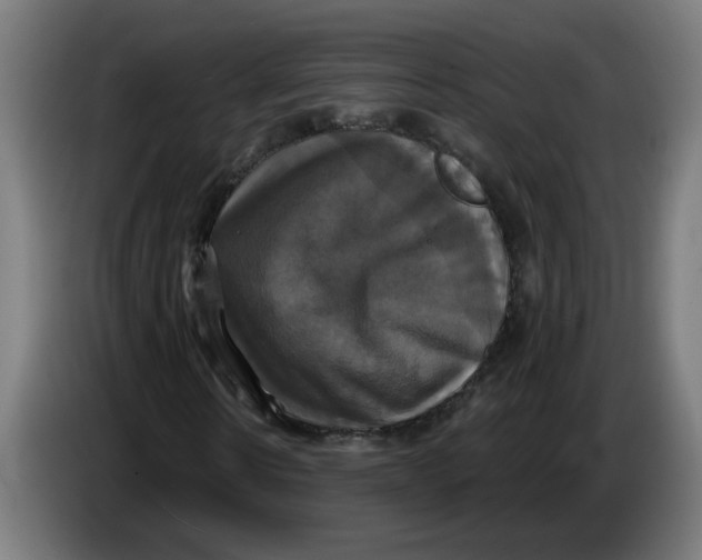 X0000086220914200704191735