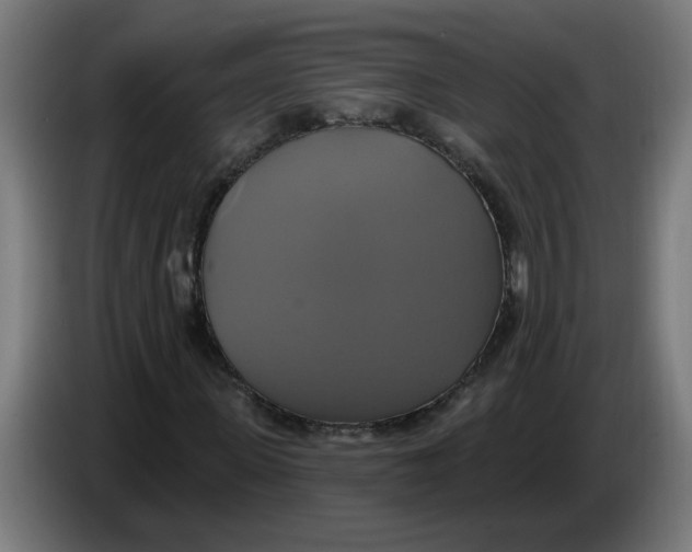 X0000086220915200704191735