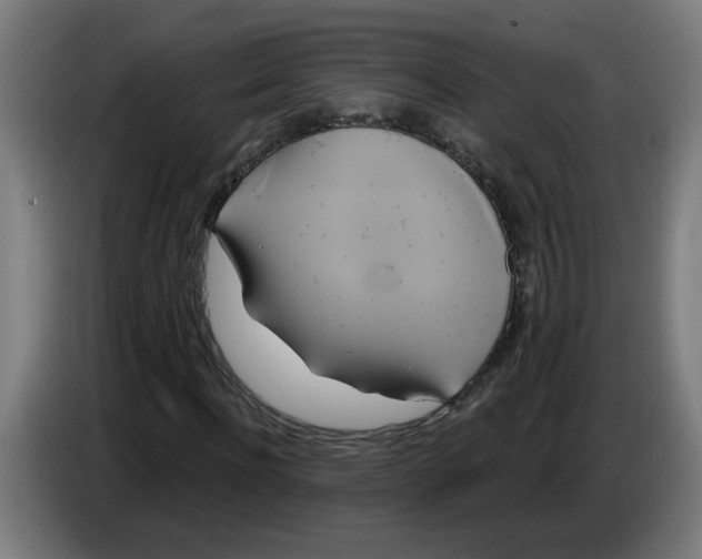 X0000086220916200704191735