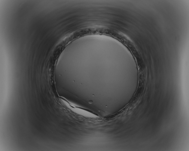 X0000086220919200704191735