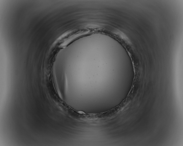 X0000086220920200704191735