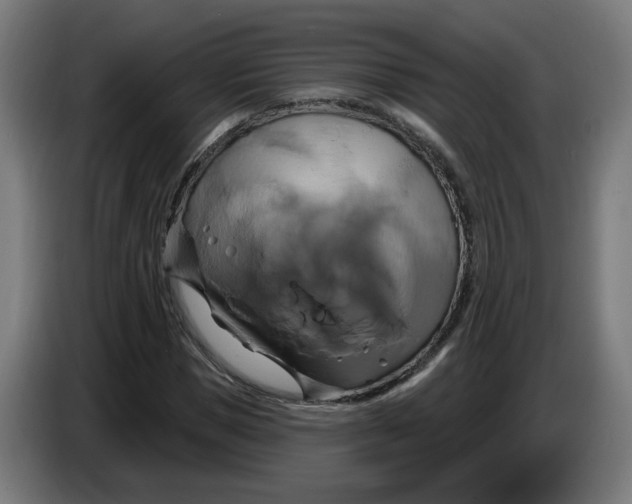 X0000086220921200704191735