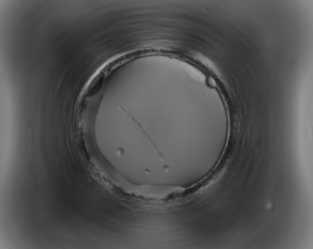 X0000086220923200704191735