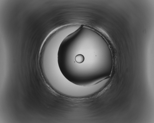 X0000086220924200704191735