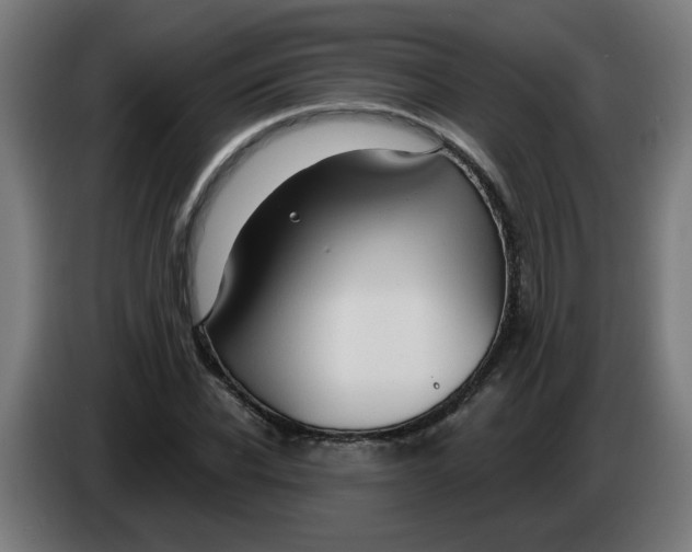 X0000086220926200704191735