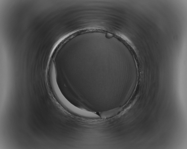 X0000086220928200704191735