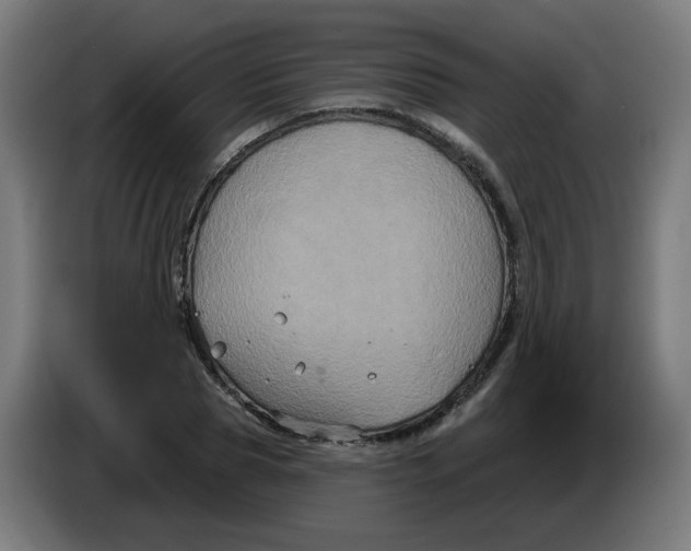 X0000086220929200704191735