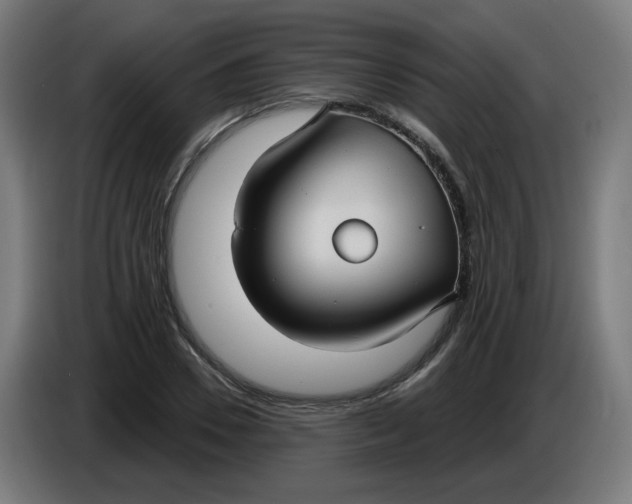 X0000086220930200704191735