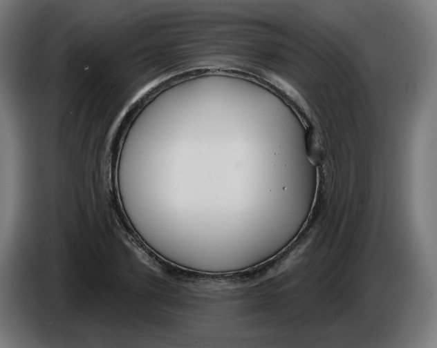 X0000086220931200704191735