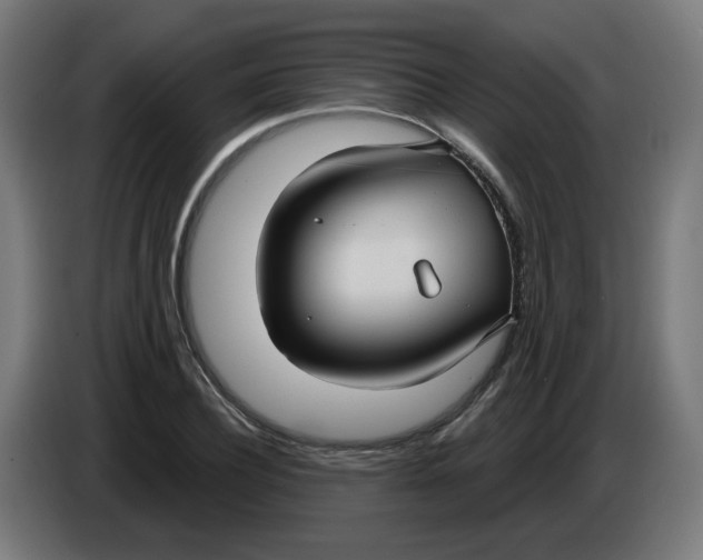 X0000086220932200704191735