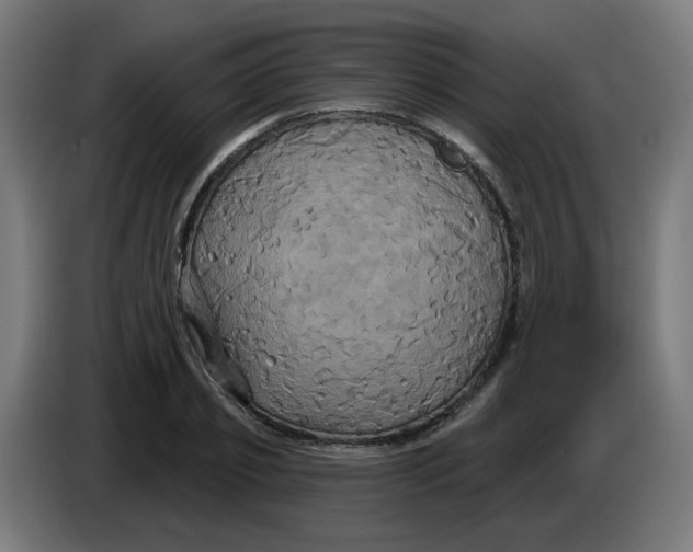 X0000086220933200704191735